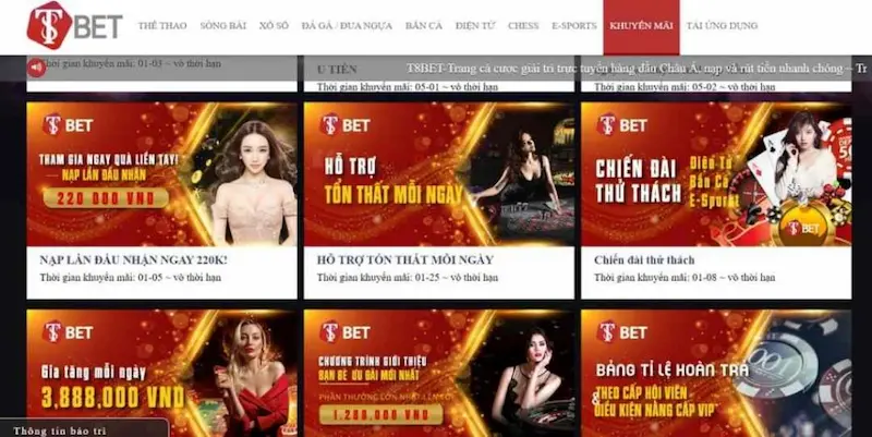 Giới thiệu về T8Bet Vip Mới Nhất Cho Tân Thủ