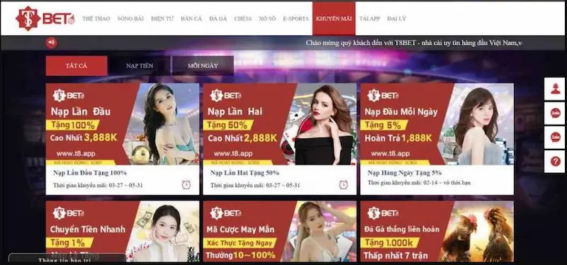 Các khuyến mãi và ưu đãi tại T8Bet Vip